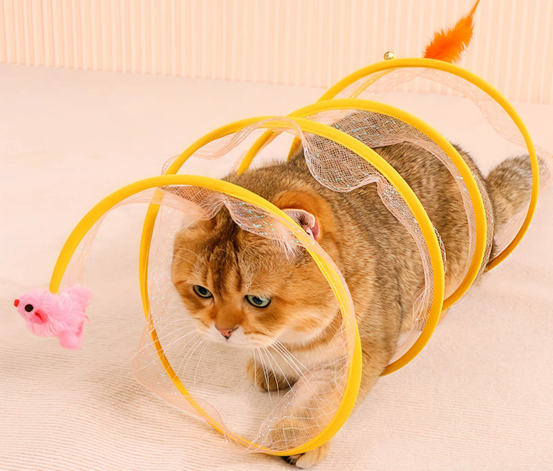 Wow! This Tunnel Lets Your Cat Indulge in Their Hunting Instincts!