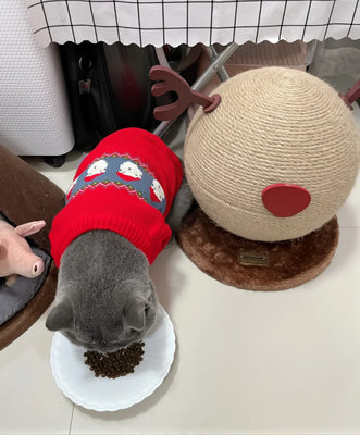 Cute & Functional—Reindeer Scratcher Wins!