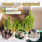 Easy Grass Grower - MaoMao - Paws