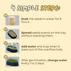 Easy Grass Grower - MaoMao - Paws