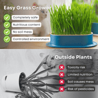 Easy Grass Grower - MaoMao - Paws