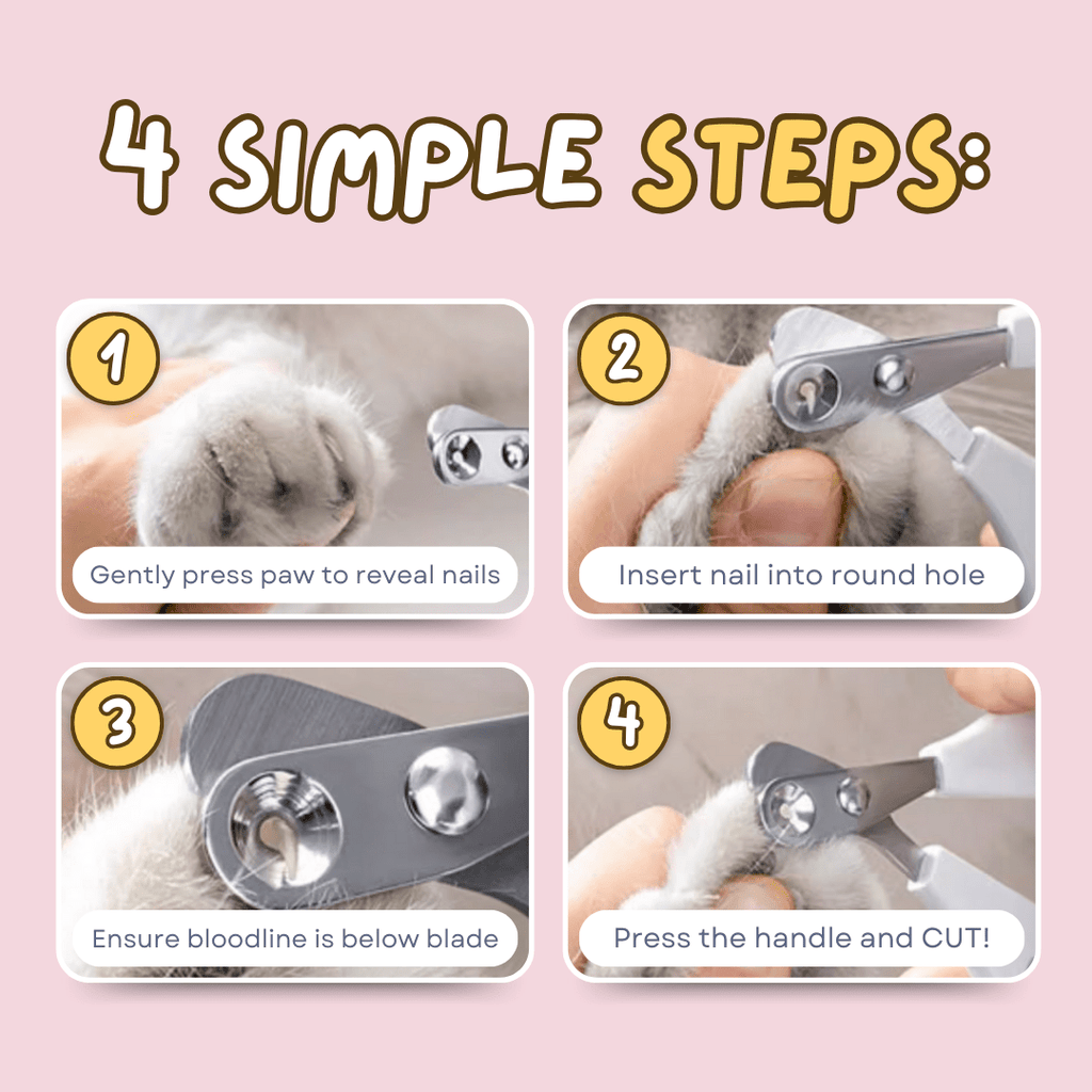 Easy Nail Trimmer - MaoMao - Paws
