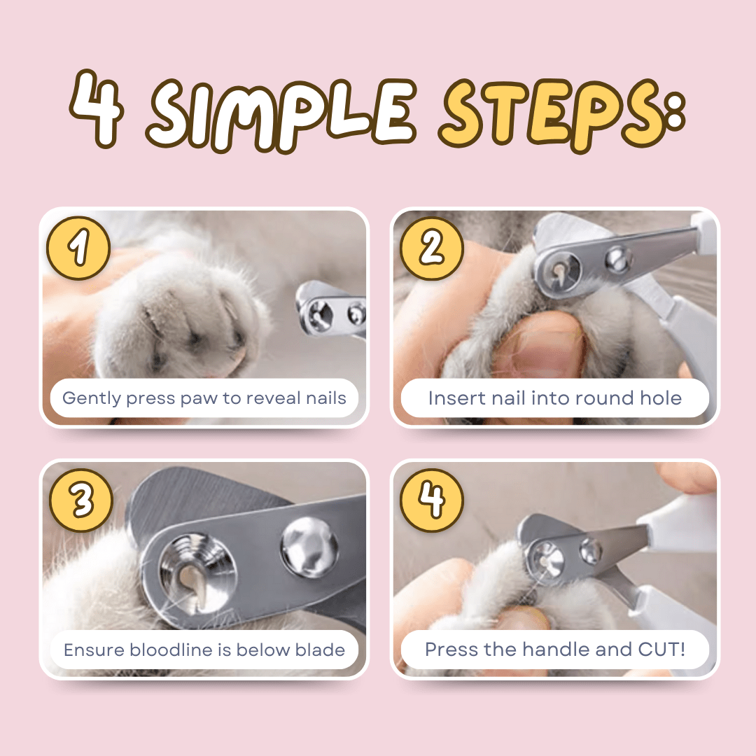 Easy Nail Trimmer - MaoMao - Paws