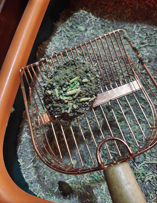 Makes Litter Box Duty Way Less of a Chore