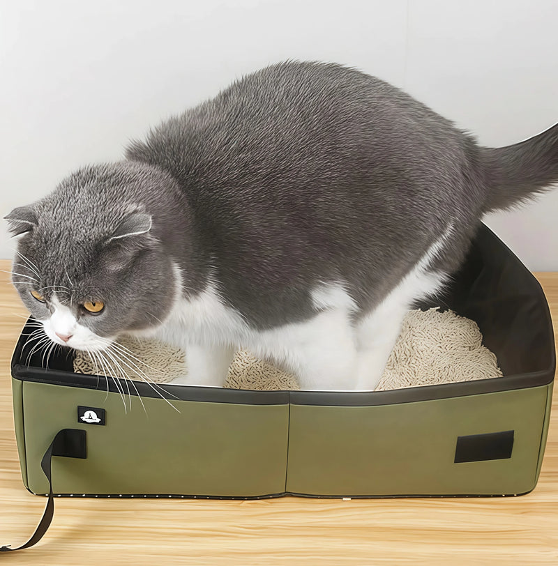 Wow! Taking a litter box on the go is super convenient!