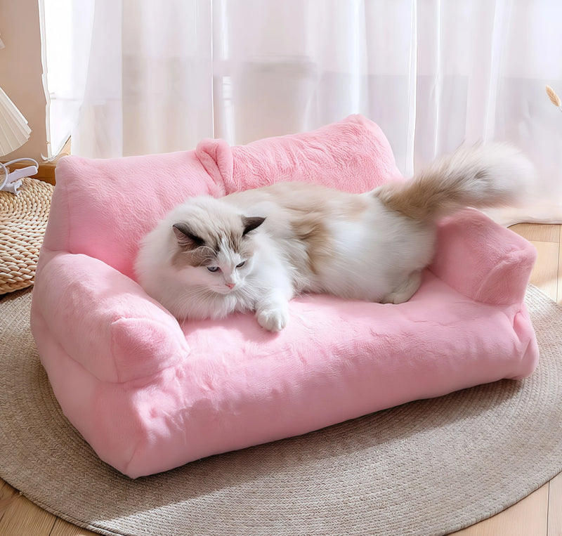 Wow! The Cat Bed is Actually a Sofa Style!
