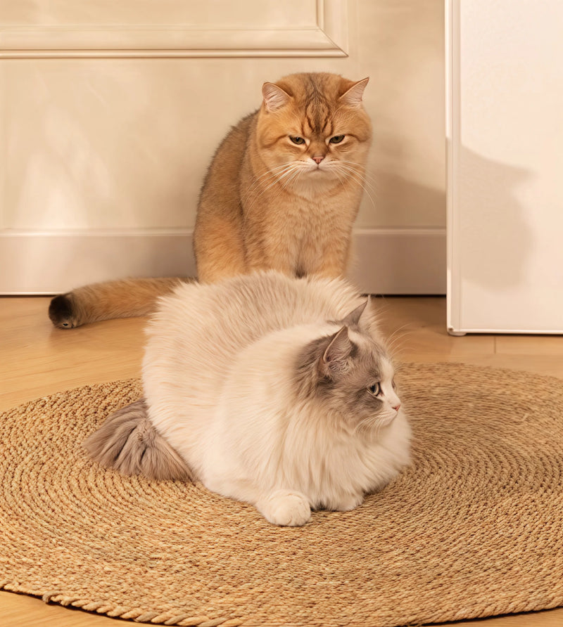Natural Woven Grass Cured My Cat's Scratching Obsession!