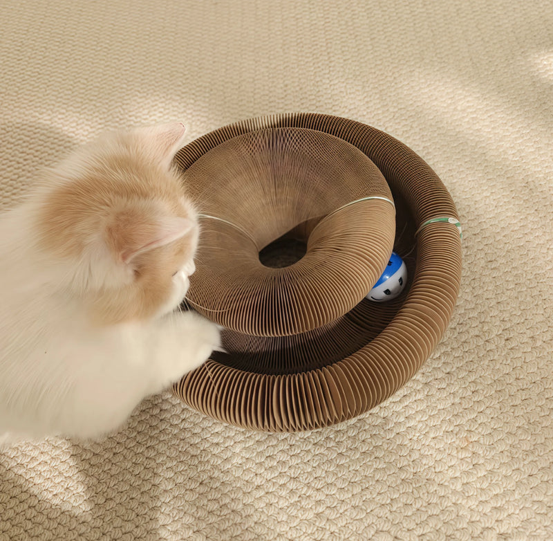 Oh my god! This Cat Bed Doubles as a Scratcher!
