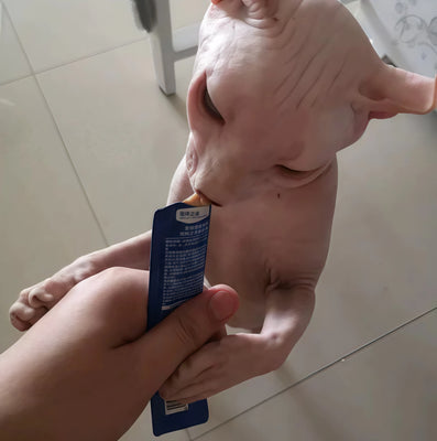Convenient, Tasty, and Good for Her—What More Could I Want?