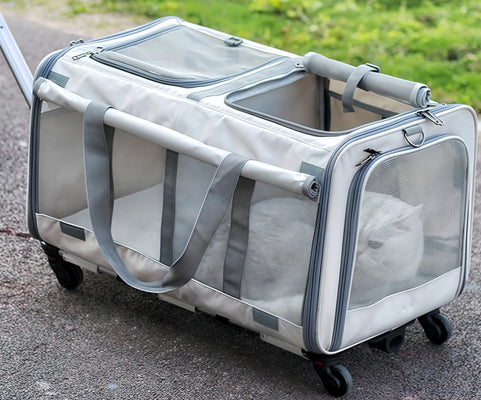Perfect for On-the-Go Cat Parents