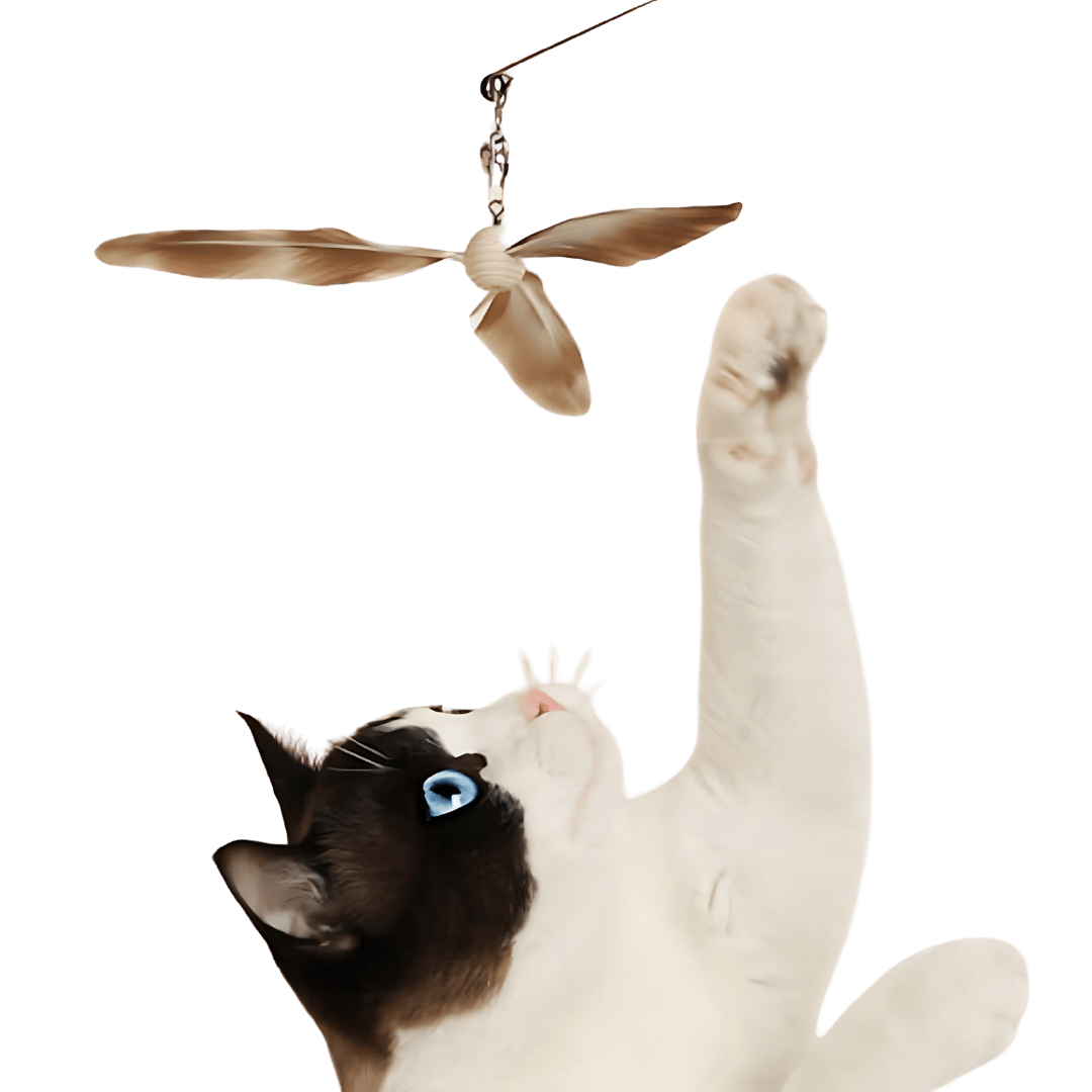 Feather Teasing Toy - MaoMao - Paws