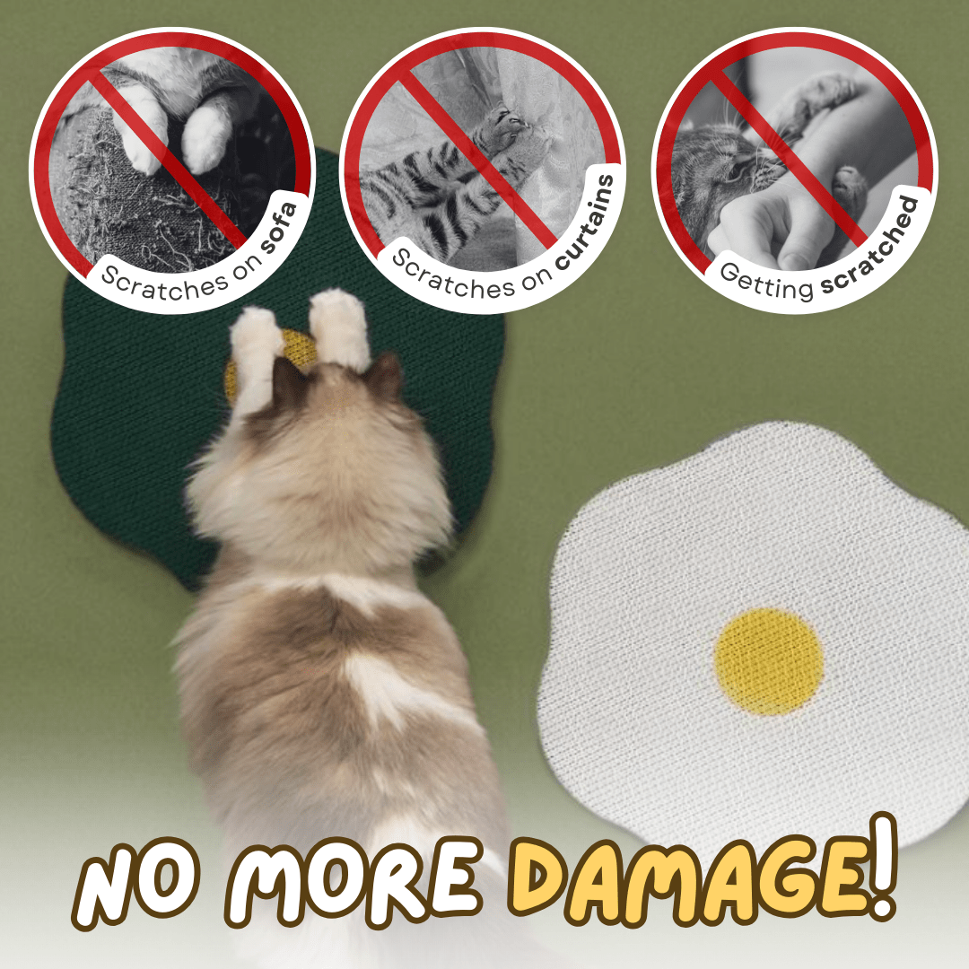 Flower Scratching Pad - MaoMao - Paws
