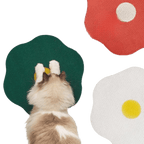 Flower Scratching Pad - MaoMao - Paws