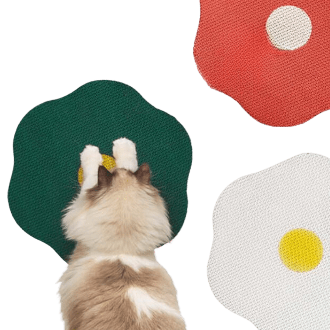 Flower Scratching Pad - MaoMao - Paws