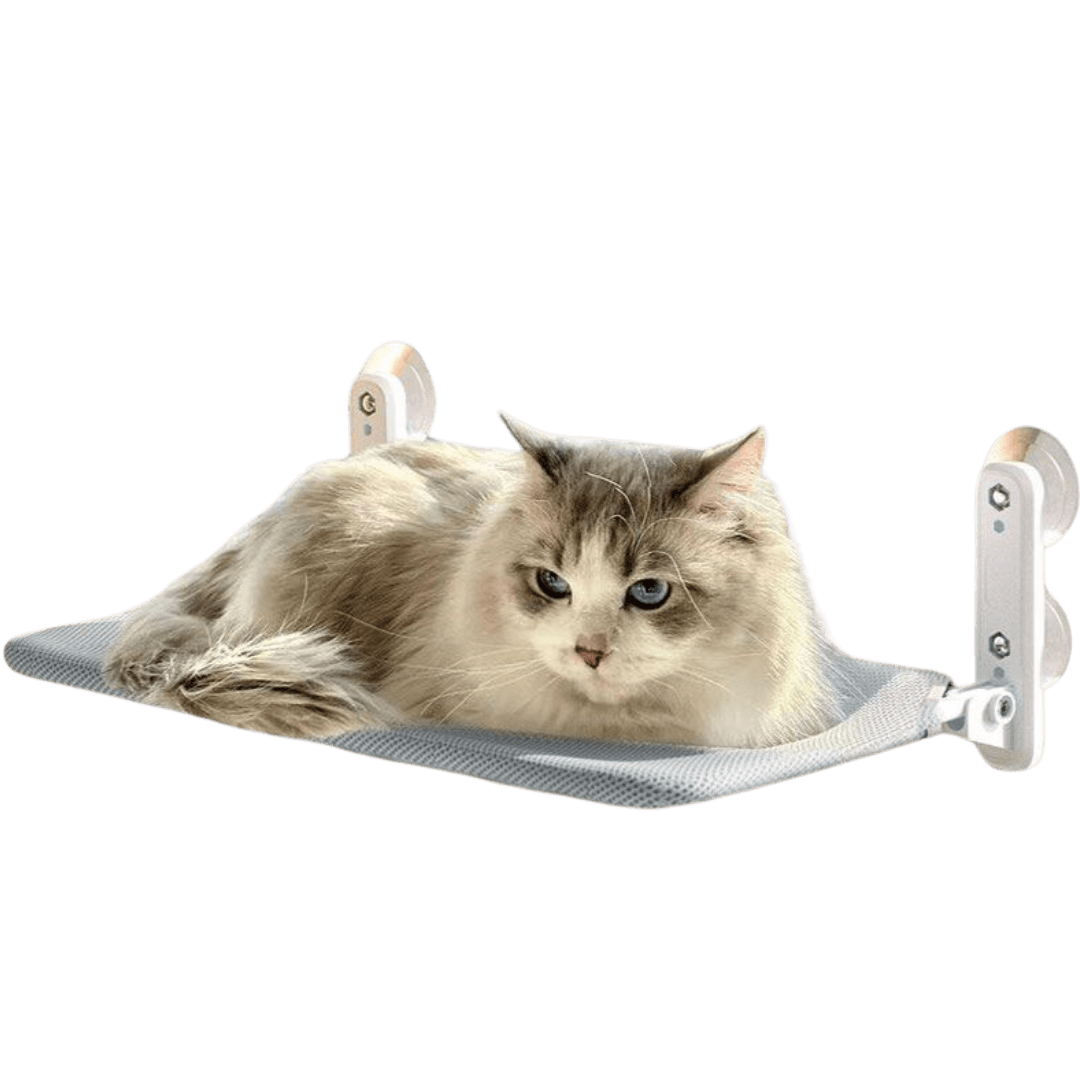 Foldable Window Hammock - MaoMao - Paws