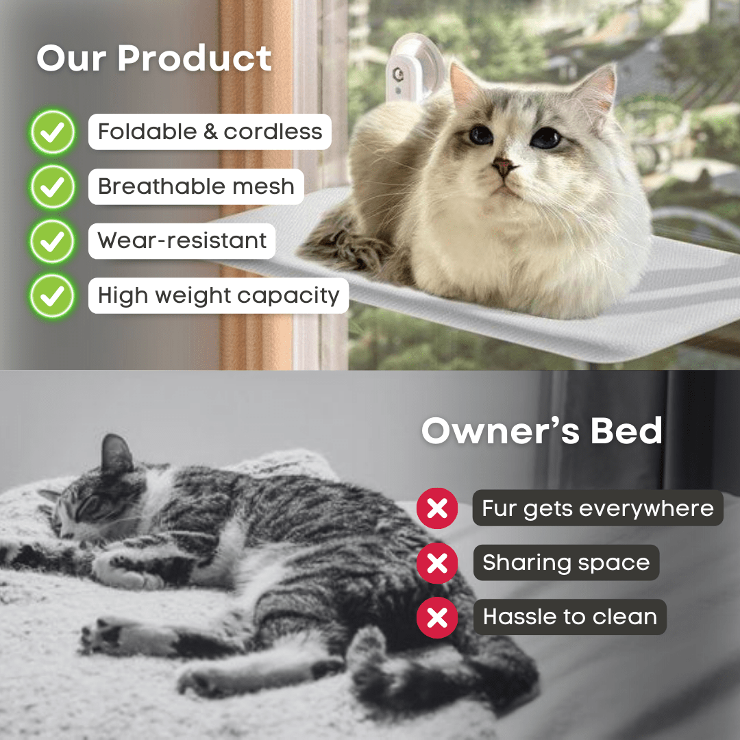 Foldable Window Hammock - MaoMao - Paws