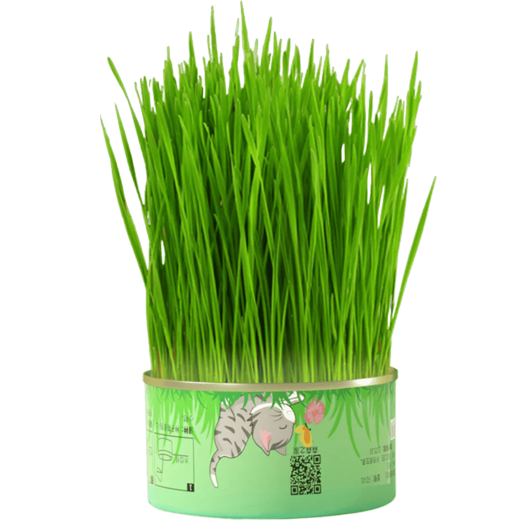 Fresh Canned Grass - MaoMao - Paws
