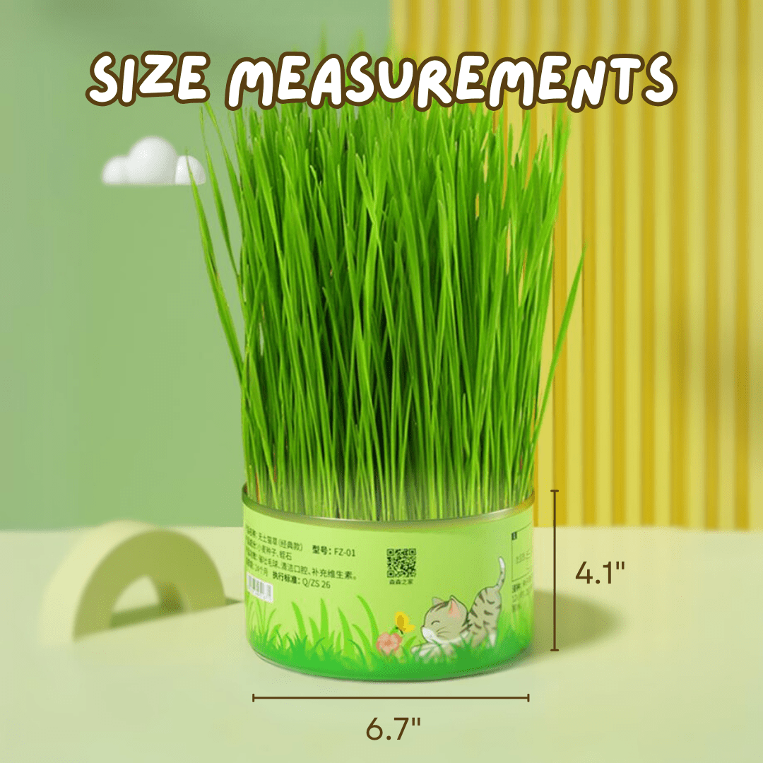 Fresh Canned Grass - MaoMao - Paws