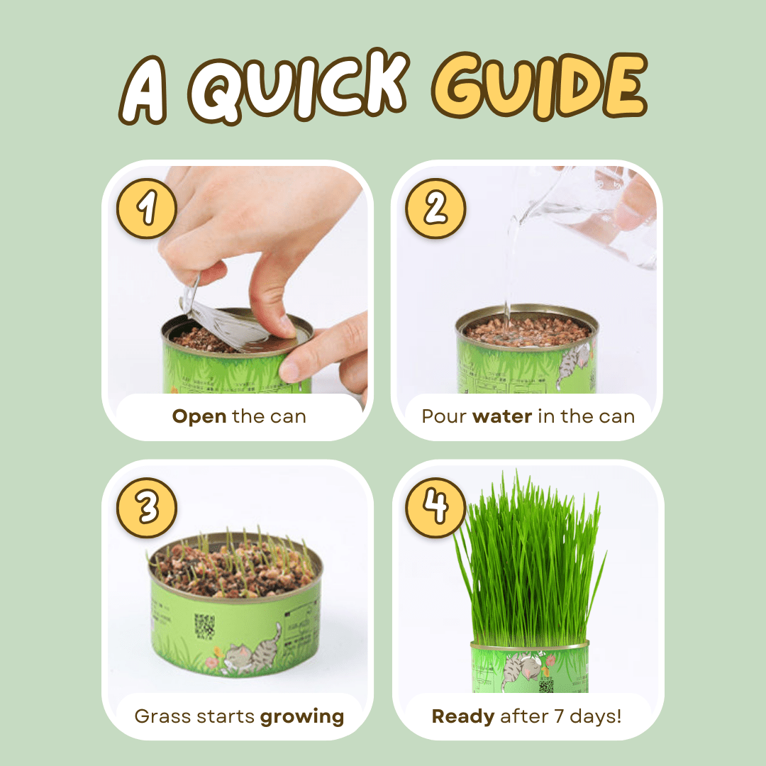 Fresh Canned Grass - MaoMao - Paws