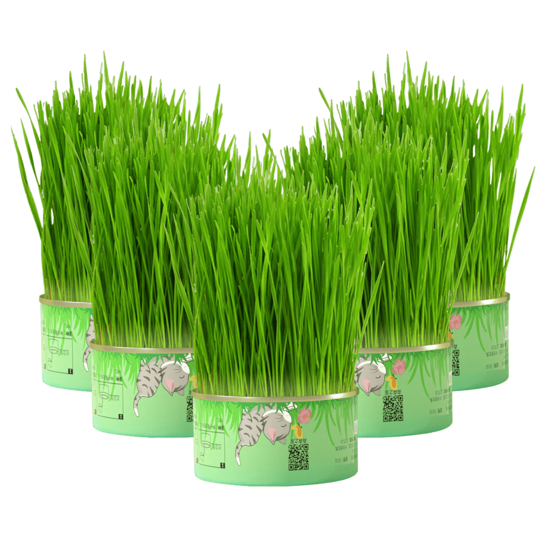 Fresh Canned Grass - MaoMao - Paws
