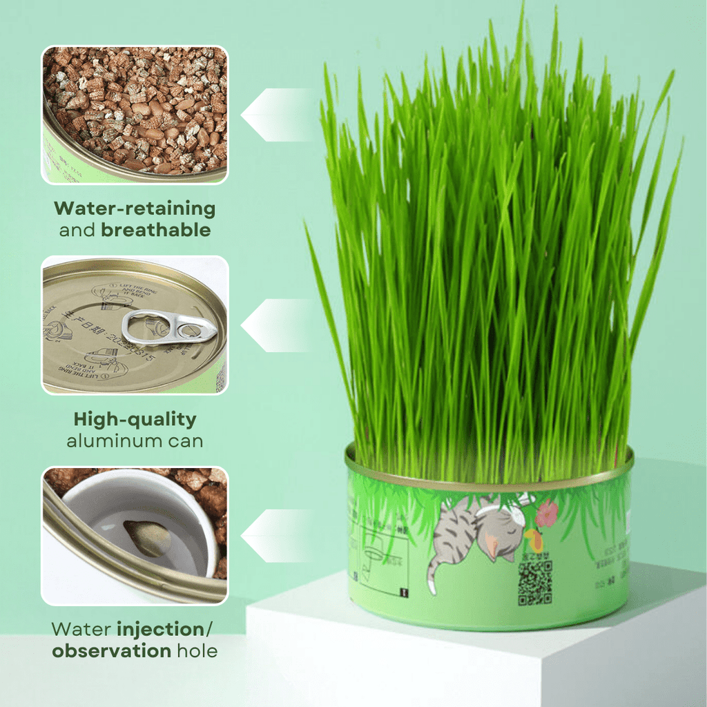 Fresh Canned Grass - MaoMao - Paws