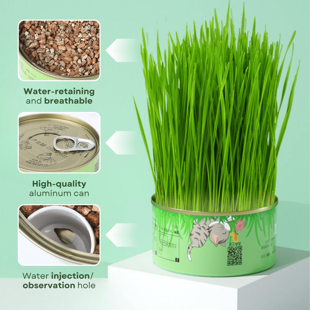 Fresh Canned Grass - MaoMao - Paws