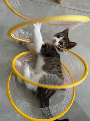 Cats Go Crazy for This Tunnel!