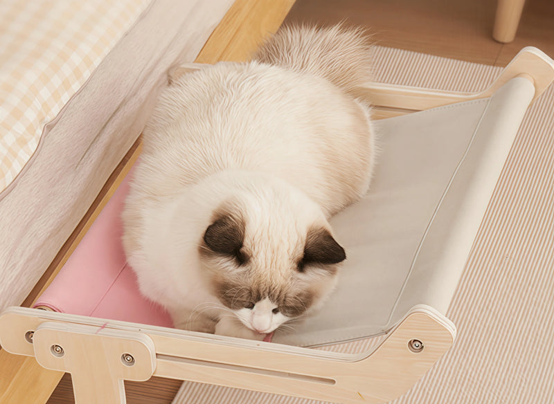 Cats Are *Obsessed* With This Bedside Hammock!