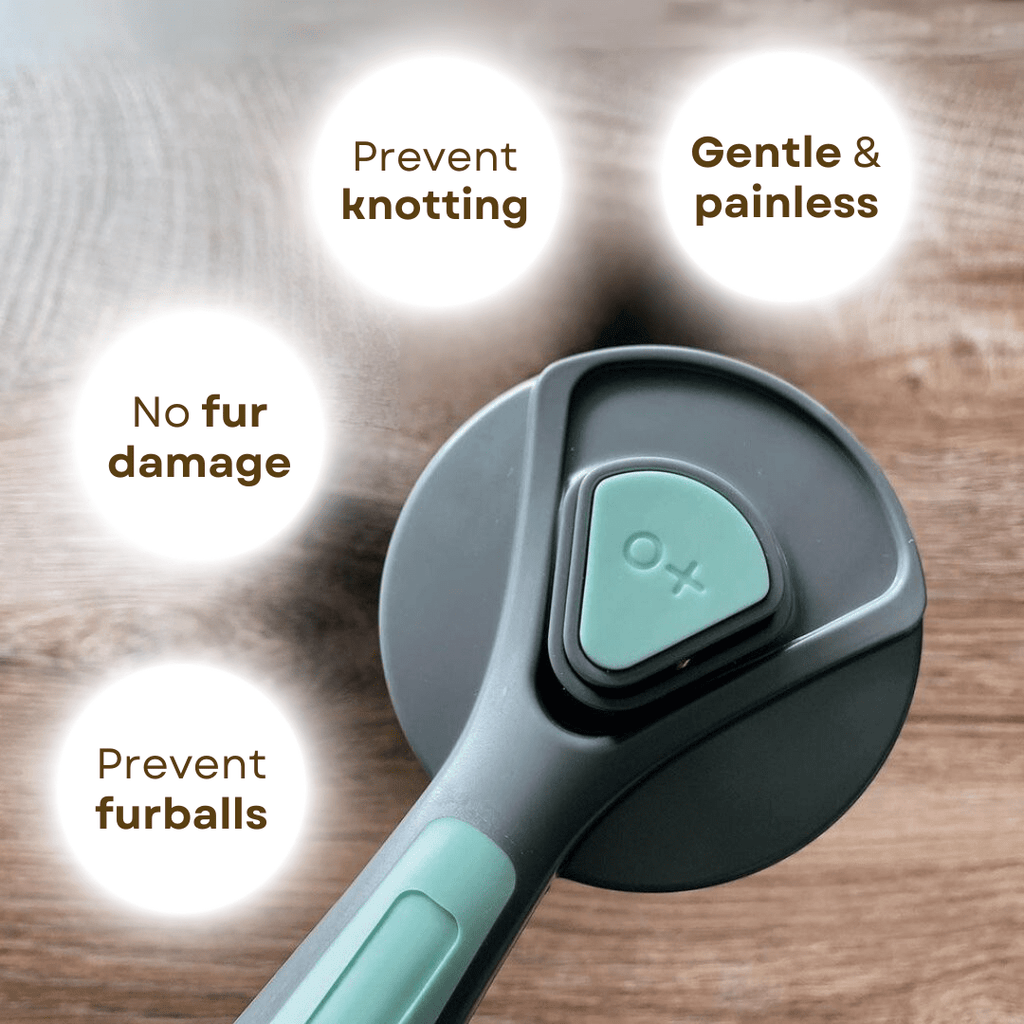 Furry Brush - MaoMao - Paws