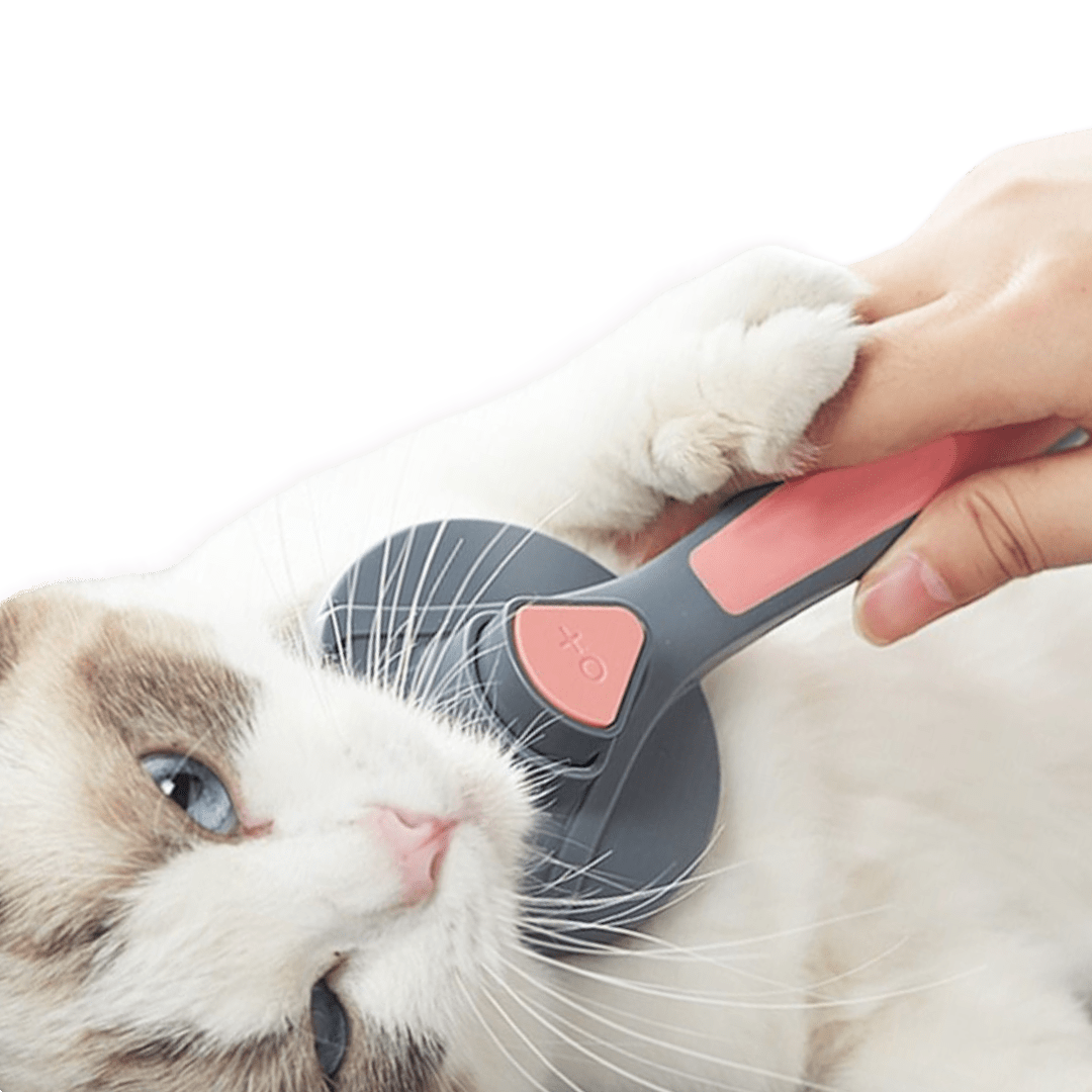 Furry Brush - MaoMao - Paws