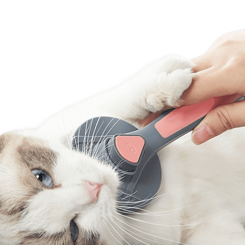 Furry Brush - MaoMao - Paws