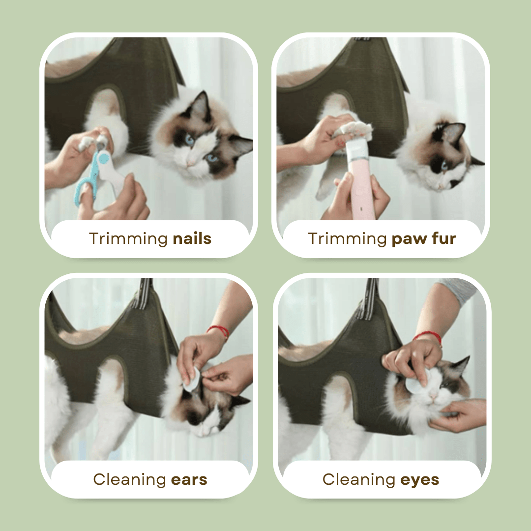 Good Cat Hammock - MaoMao - Paws