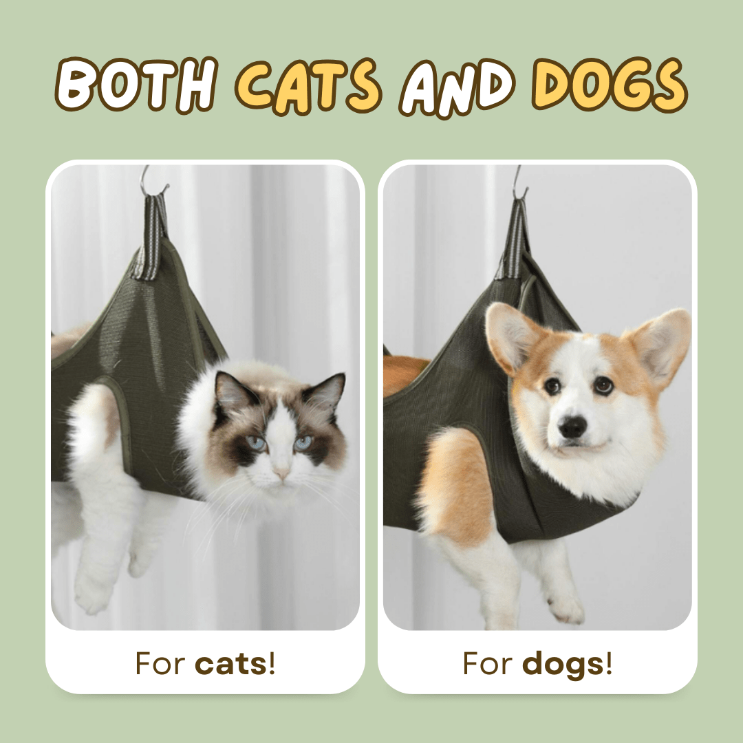 Good Cat Hammock - MaoMao - Paws