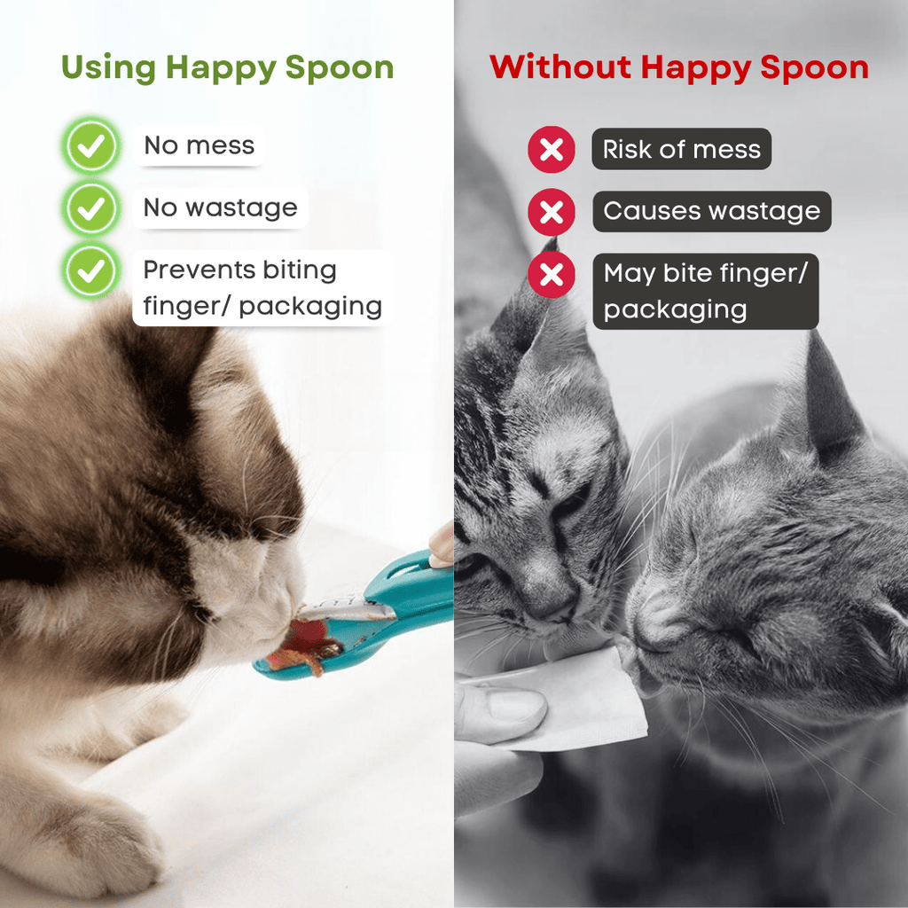 Happy Spoon - MaoMao - Paws