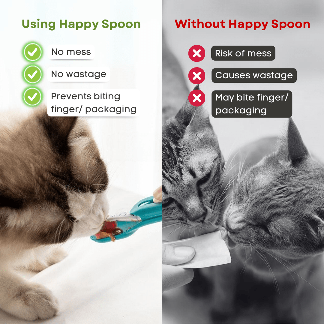 Happy Spoon - MaoMao - Paws