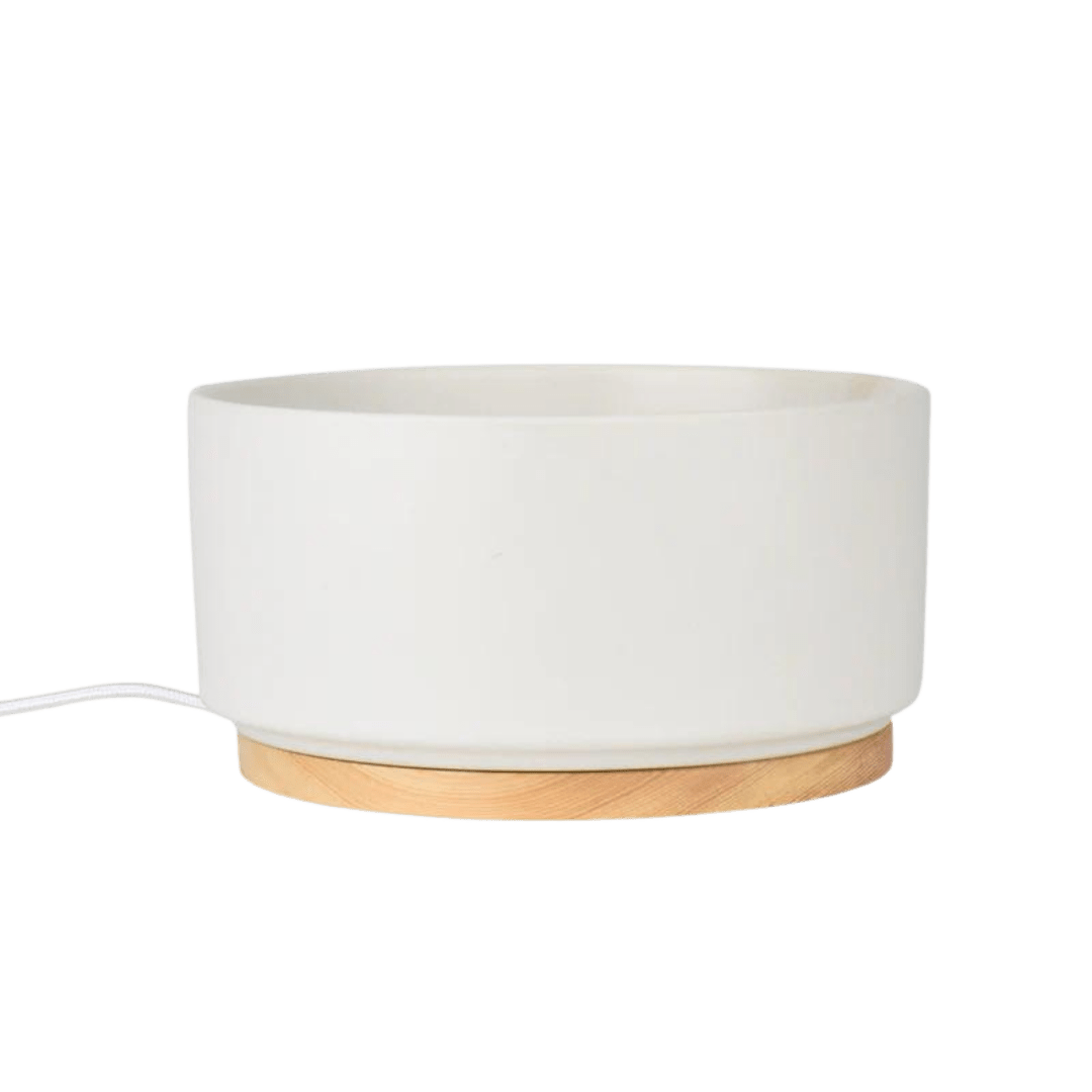 Heating Bowl - MaoMao - Paws