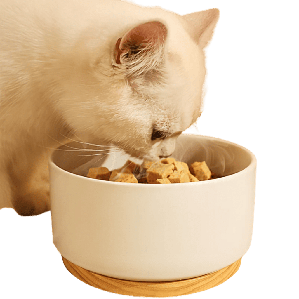 Heating Bowl - MaoMao - Paws