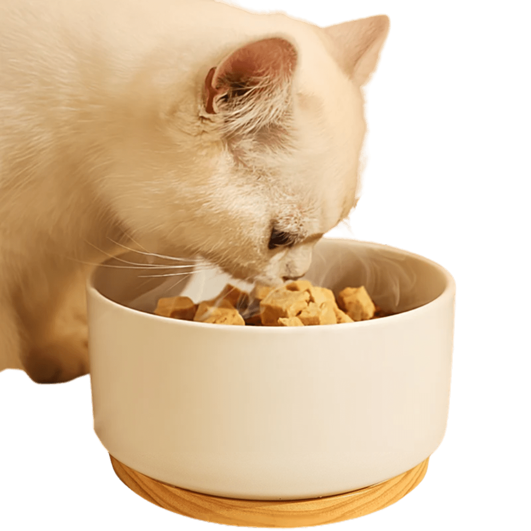 Heating Bowl - MaoMao - Paws