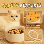 Heating Bowl - MaoMao - Paws