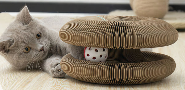 Our Chonky Orange Cat’s Favorite Cozy Nest