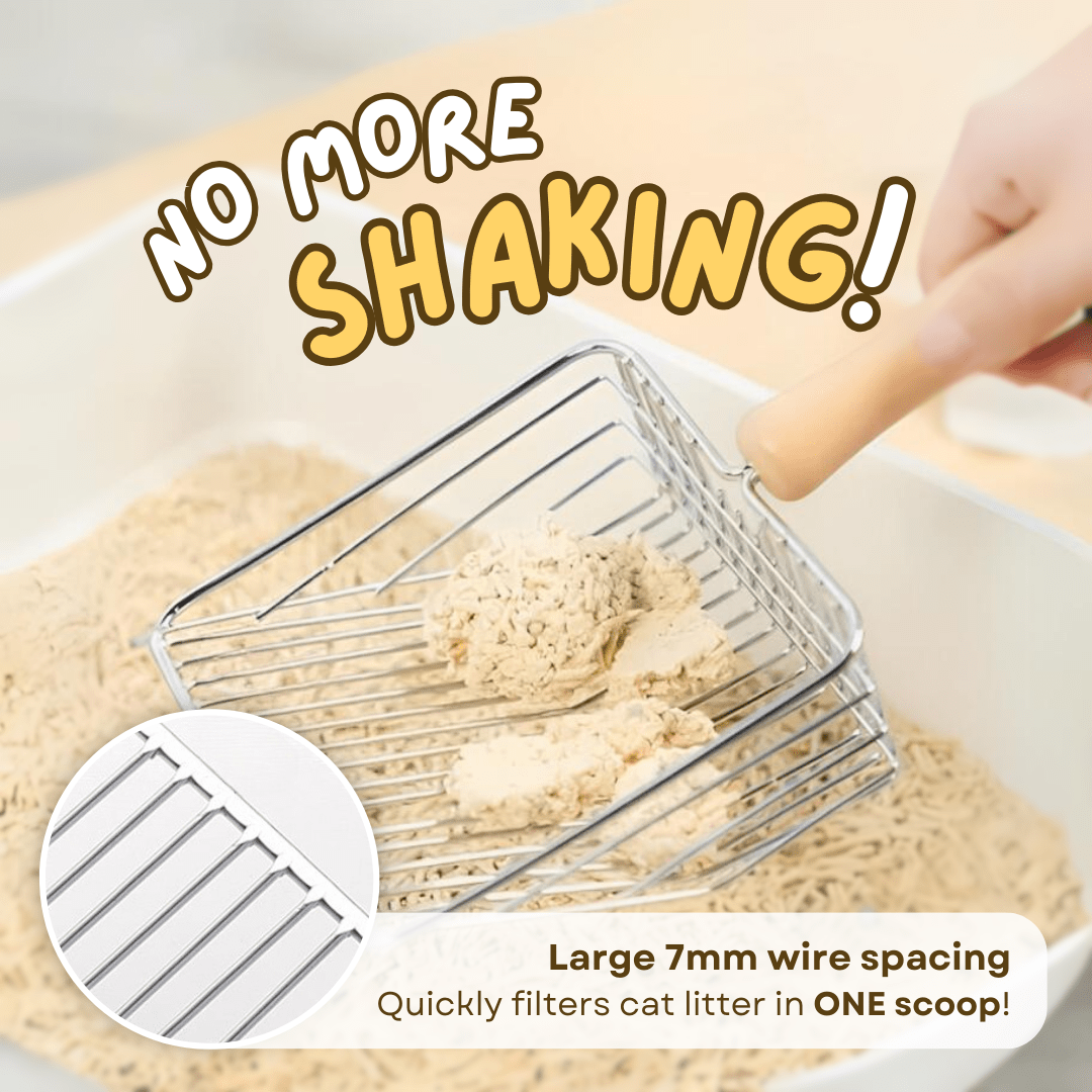Instant Scooper - MaoMao - Paws