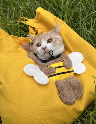 Perfect for My Shy Kitten—So Cute & Cozy!