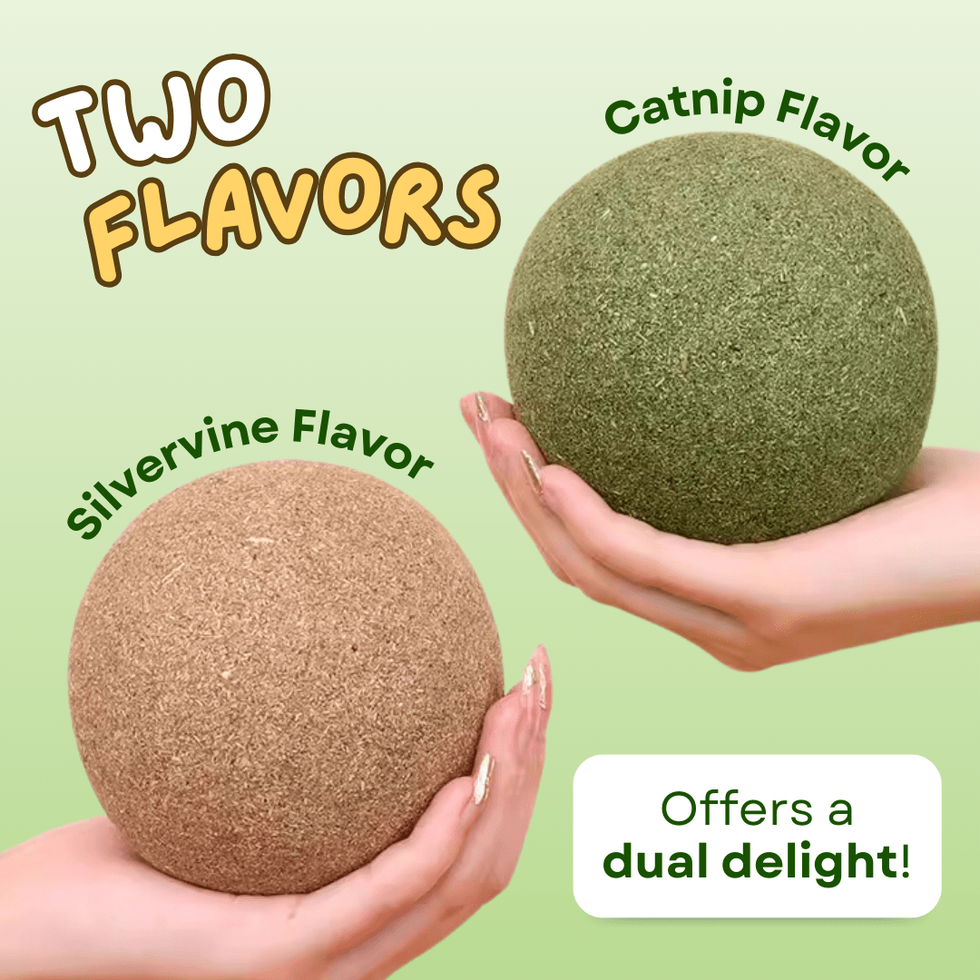 Jumbo Catnip Ball - MaoMao - Paws