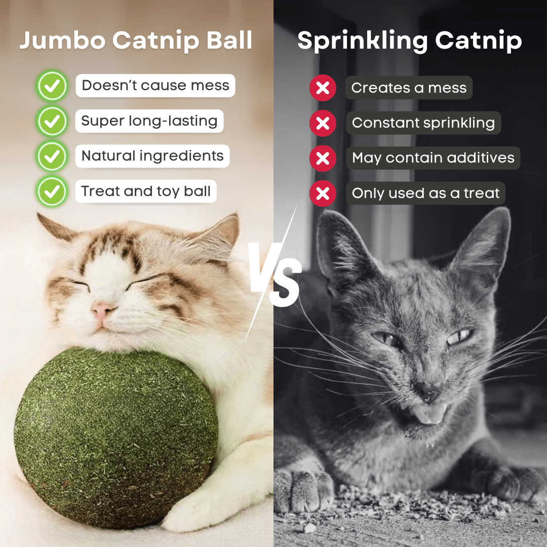Jumbo Catnip Ball - MaoMao - Paws