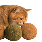 Jumbo Catnip Ball - MaoMao - Paws