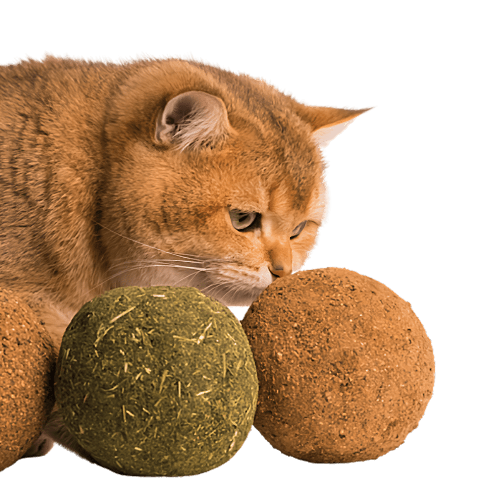 Jumbo Catnip Ball - MaoMao - Paws