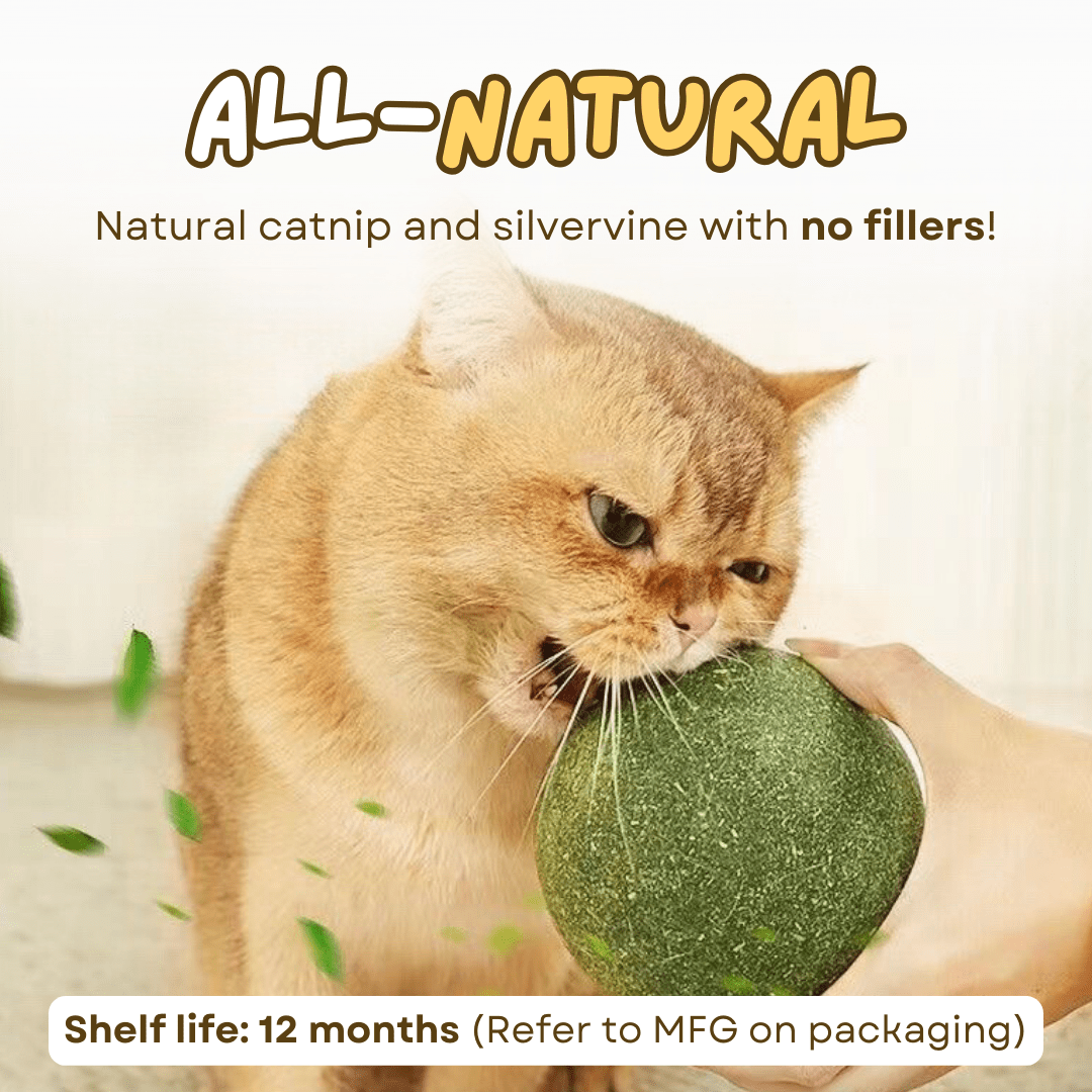 Jumbo Catnip Ball - MaoMao - Paws