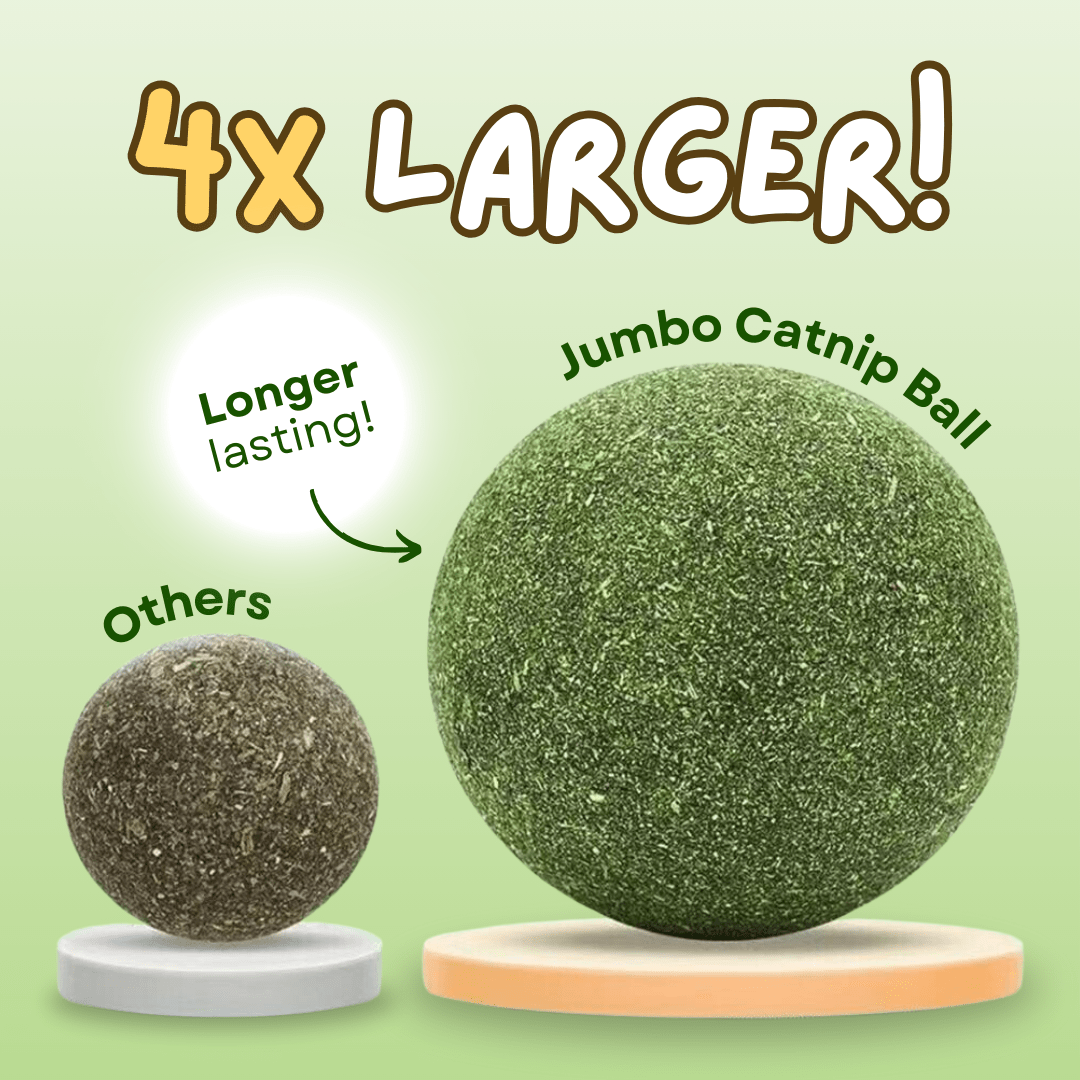 Jumbo Catnip Ball - MaoMao - Paws