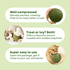 Jumbo Catnip Ball - MaoMao - Paws