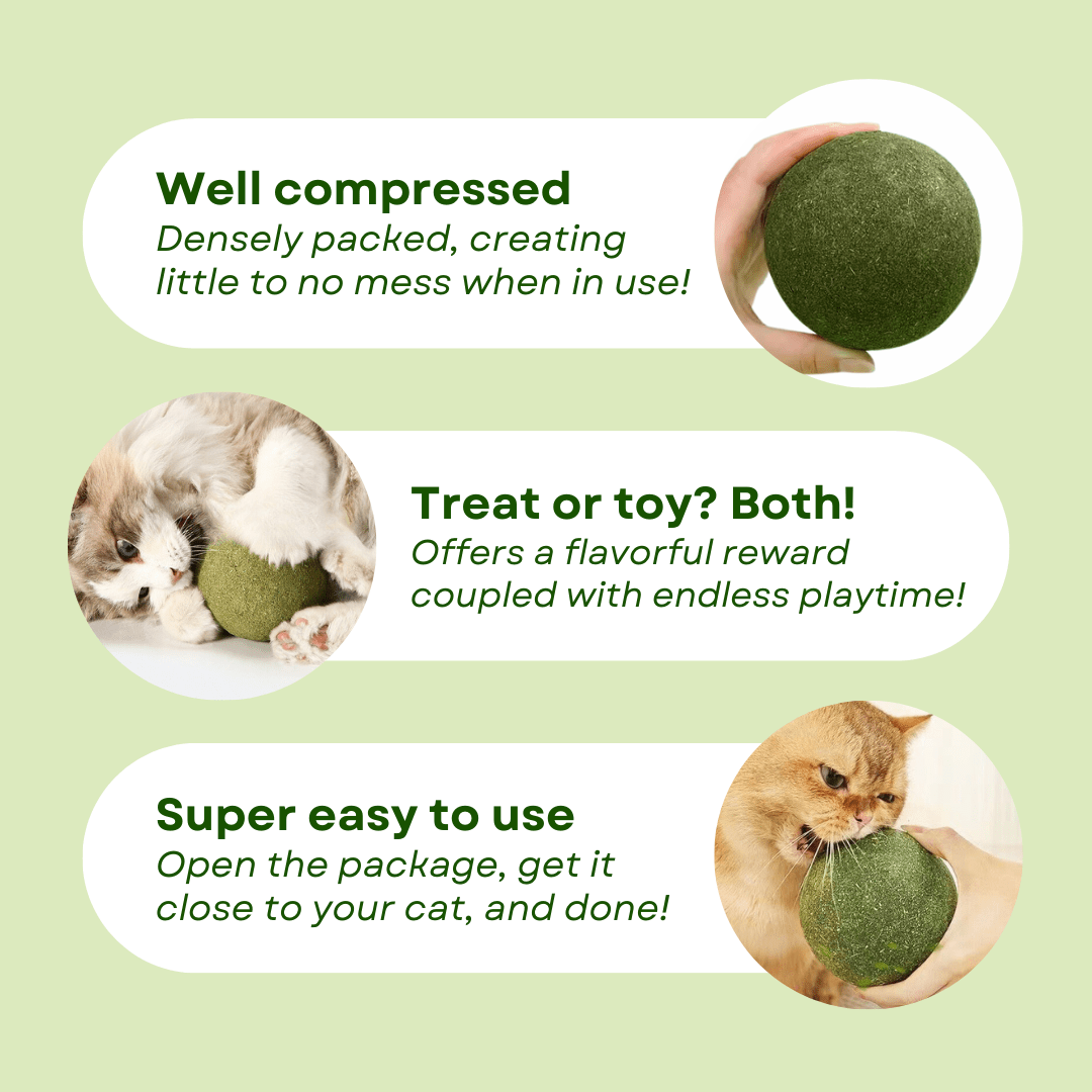 Jumbo Catnip Ball - MaoMao - Paws